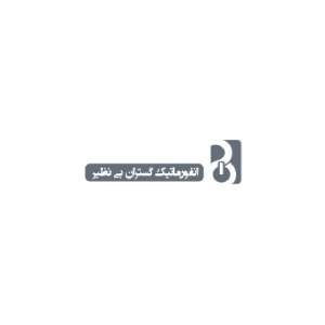 نرم افزار حسابداری گروه بی نظیر بهترین نرم افزار حسابداری خشکشویی