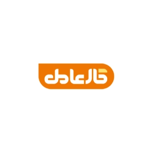 نرم افزار حسابداری کارعامل بهترین نرم افزار حسابداری خشکشویی