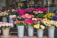 بهترین نرم افزار حسابداری گل فروشی