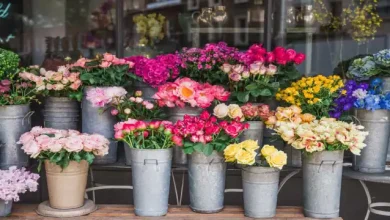 بهترین نرم افزار حسابداری گل فروشی